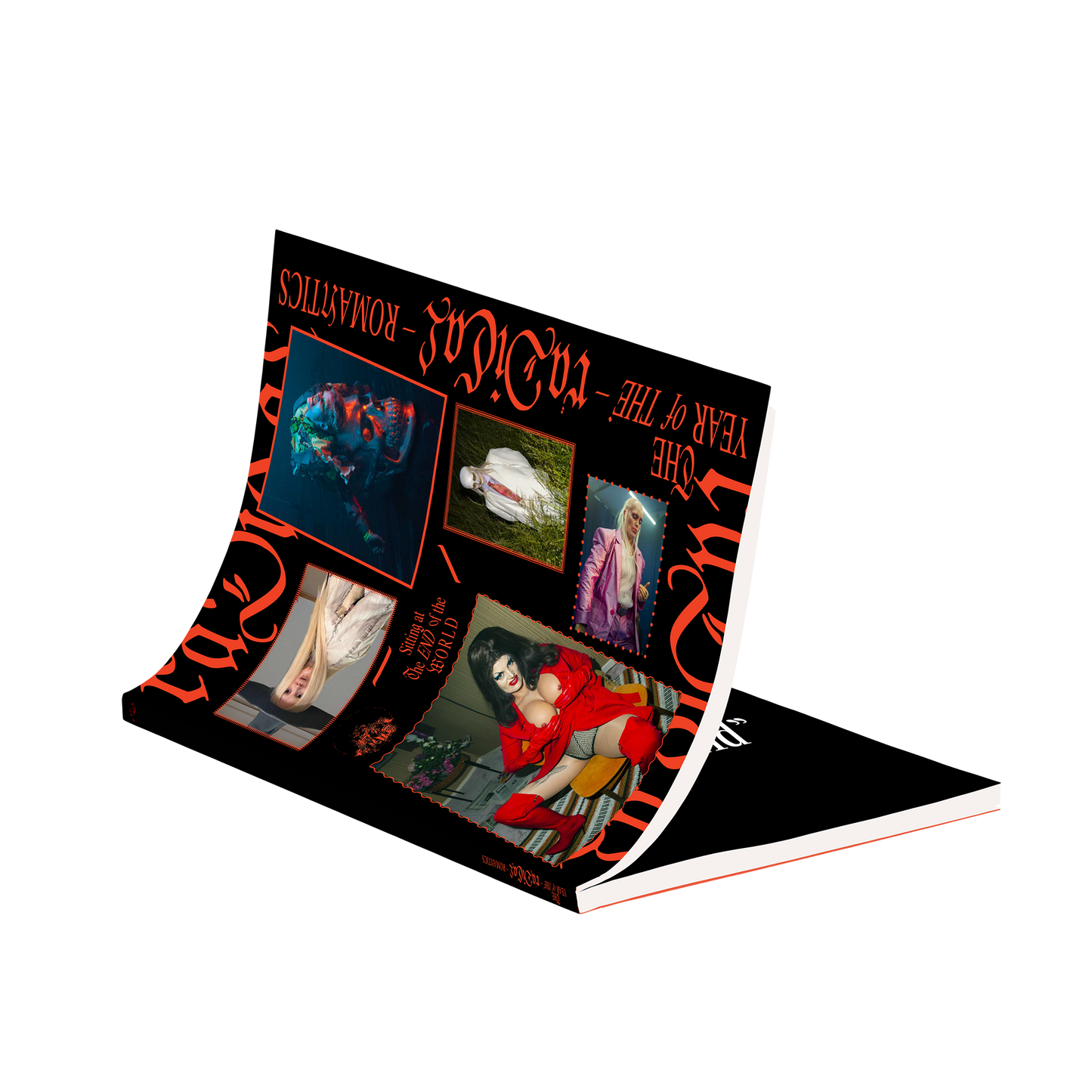 The Year Of The Radical Romantics Publication UK
