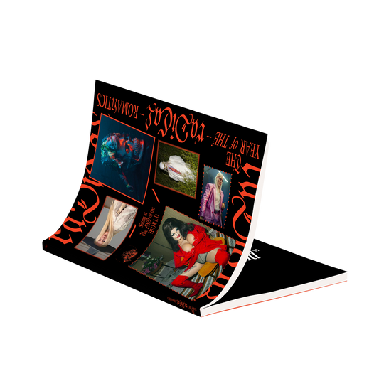 The Year Of The Radical Romantics Publication UK